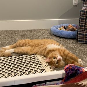 Meet your Posher, Kenna